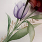 🎨20 Colors Watercolor Painting Set