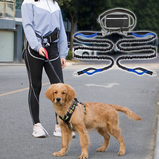 Laisse réglable pour chien mains libres avec pochette de taille