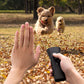 Dissuasion Ultrasonique Portable et Compact pour Chien
