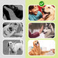 Dissuasion Ultrasonique Portable et Compact pour Chien
